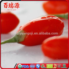 Fruta seca acaid goji berry goji berry precio aliviarte la fatiga